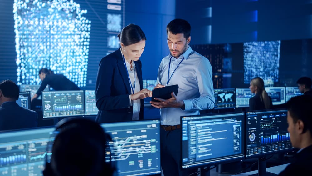 IT Professionals