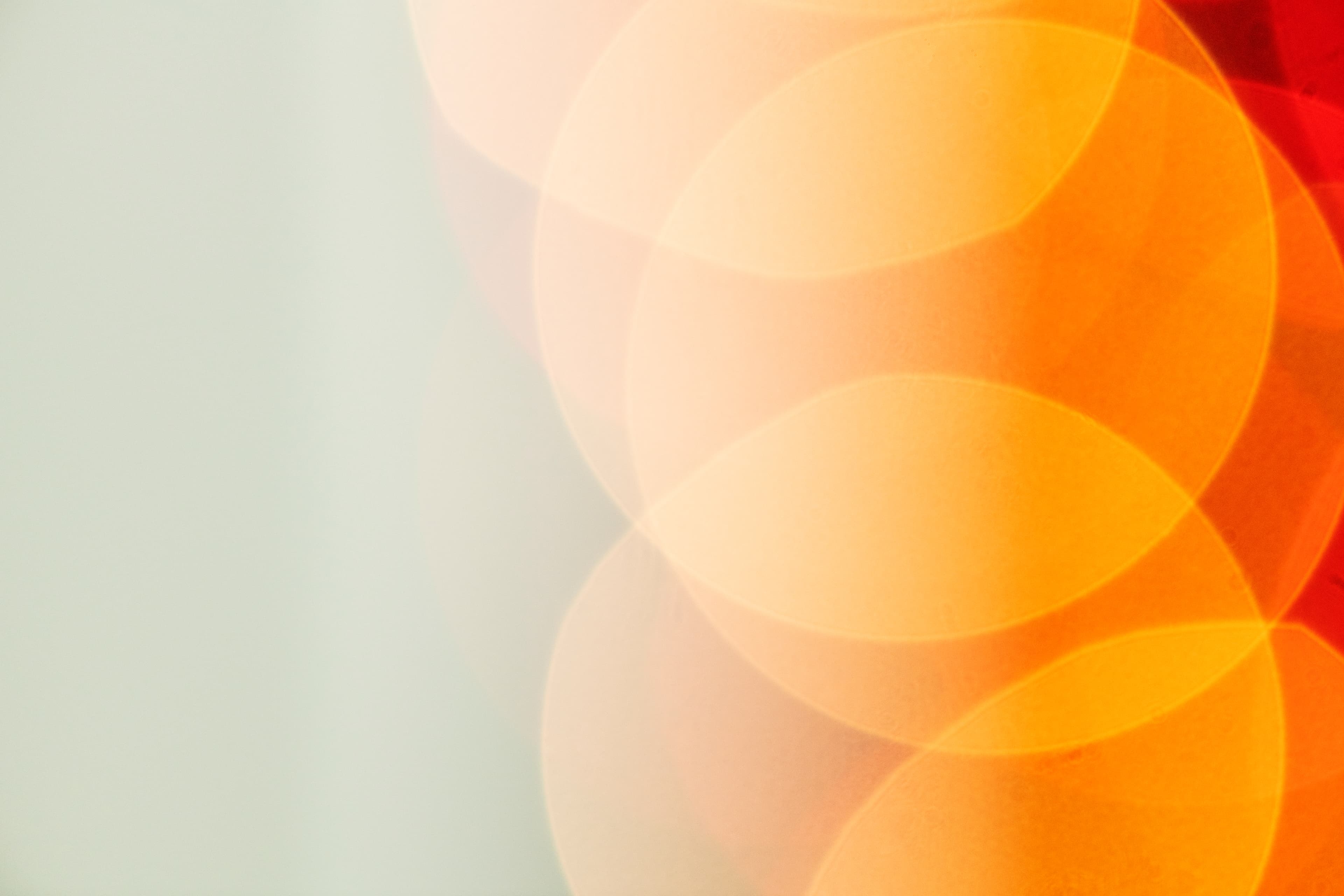 Bokeh background